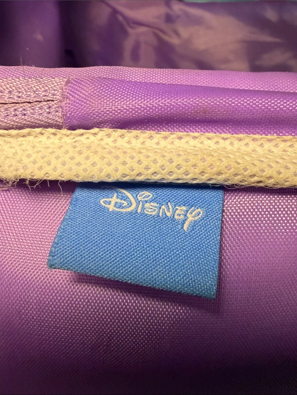 Disney Frozen Carry On Luggage 18